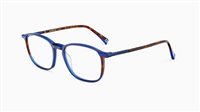 Brillengestelle Etnia Barcelona Herr ROCKWOOD 52OBLHV BLUE HAVANA52 - ROCKWOOD 52OBLHV BLUE HAVANA52